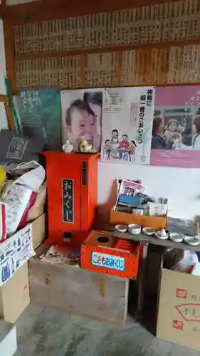 志布比神社のおみくじ