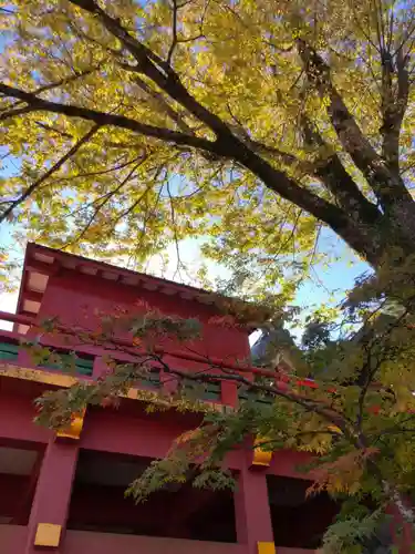 祐徳稲荷神社の山門・神門