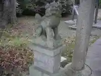 坂本神社の狛犬