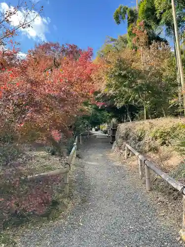 直指庵(京都府)