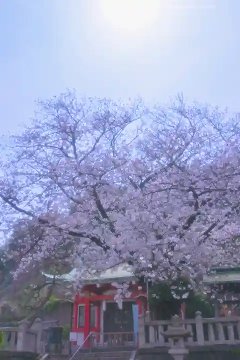 元町厳島神社の自然