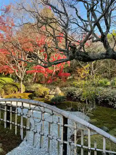 浄妙寺の庭園