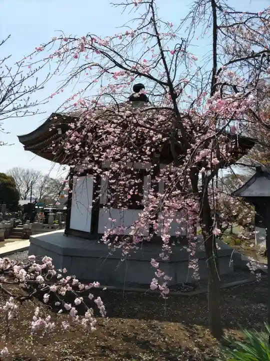 普済寺の末社・摂社