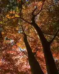 滑川神社 - 仕事と子どもの守り神(福島県)