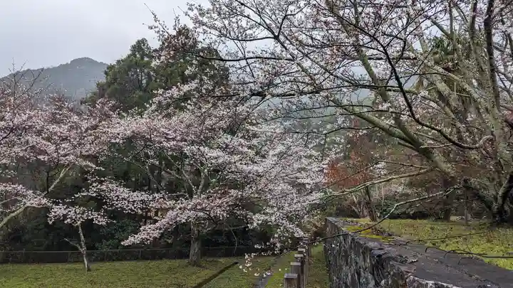 勝持寺(花の寺)(京都府)