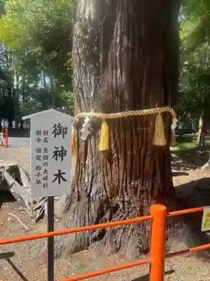 息栖神社(茨城県)