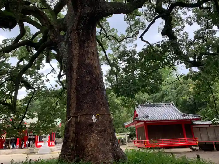 春日神社の自然