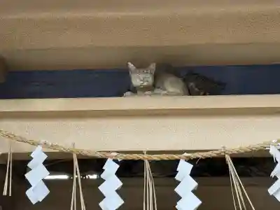 元城町東照宮(静岡県)