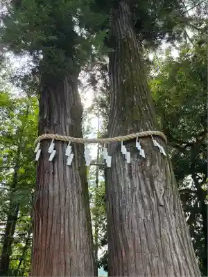寒川神社(神奈川県)