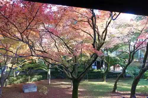 真正極楽寺（真如堂）(京都府)