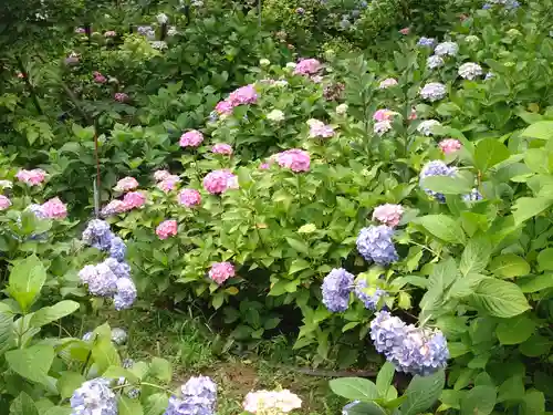 本土寺(千葉県)
