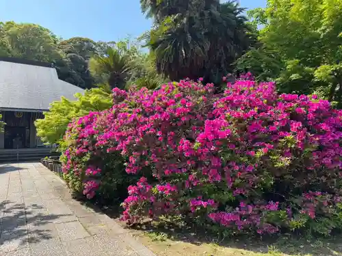 伊勢の国 四天王寺(三重県)
