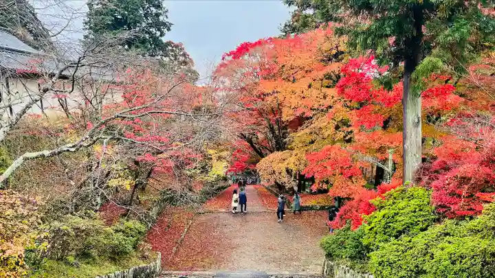 毘沙門堂門跡(京都府)