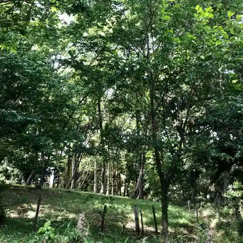 山之神神社(埼玉県)