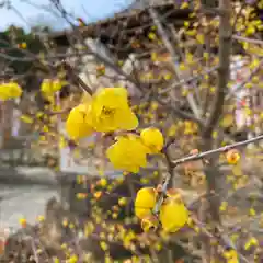 板倉雷電神社の自然