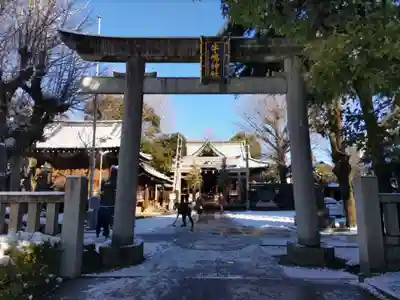 牛嶋神社の鳥居