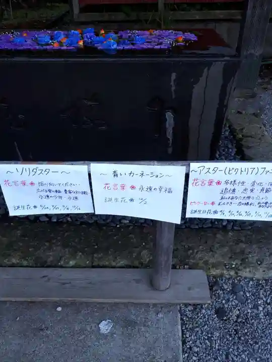 前玉神社の手水舎