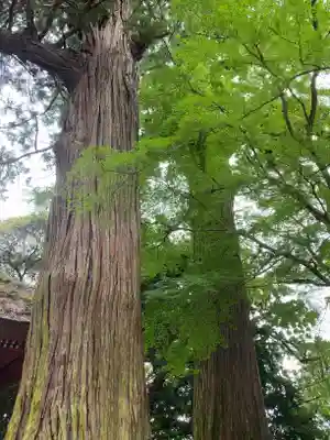宝城坊(神奈川県)