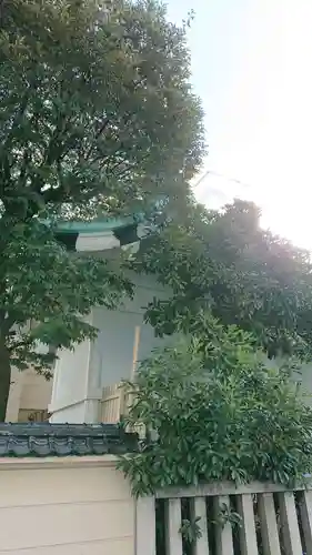 椙森神社の本殿・本堂