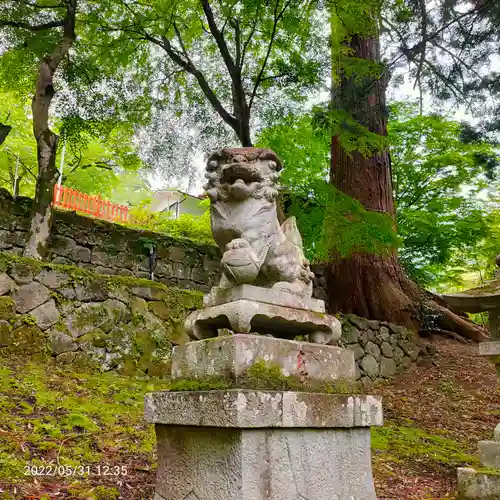 金櫻神社の狛犬