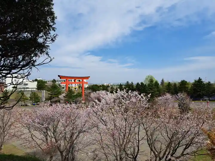 樽前山神社の自然