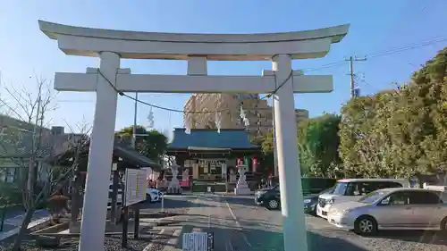 朝日氷川神社の鳥居