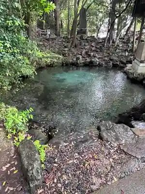 泉神社(茨城県)