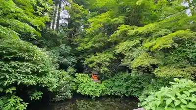箱根神社(神奈川県)