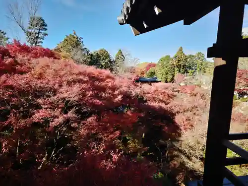 東福禅寺（東福寺）(京都府)