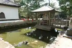 讃岐國分寺(香川県)