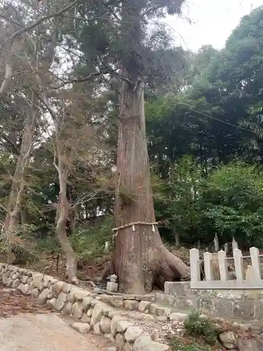 三輪神社(兵庫県)
