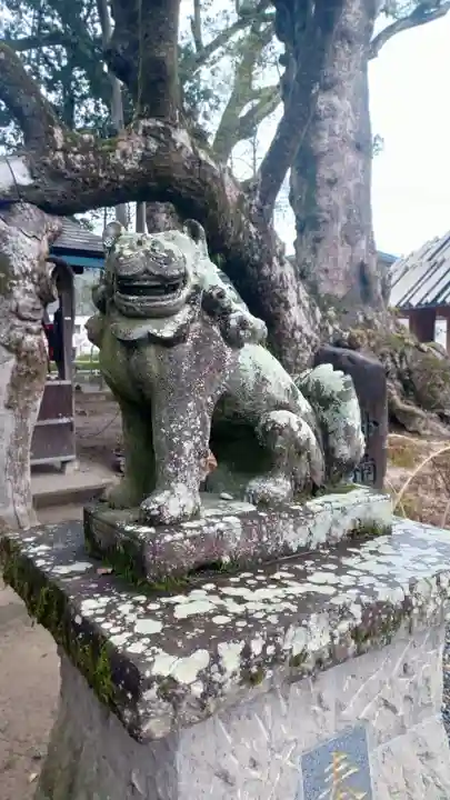青井阿蘇神社(熊本県)