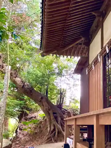 豊榮神社(千葉県)