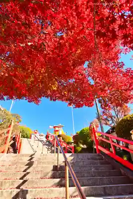 足利織姫神社(栃木県)