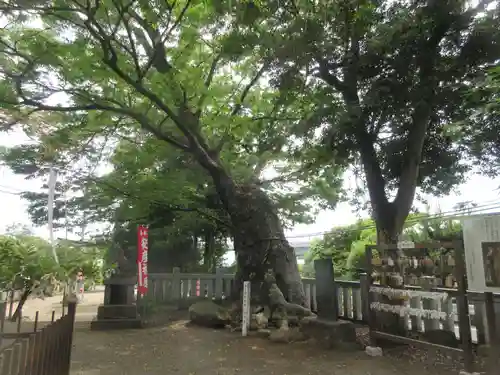 比比多神社（子易明神）(神奈川県)