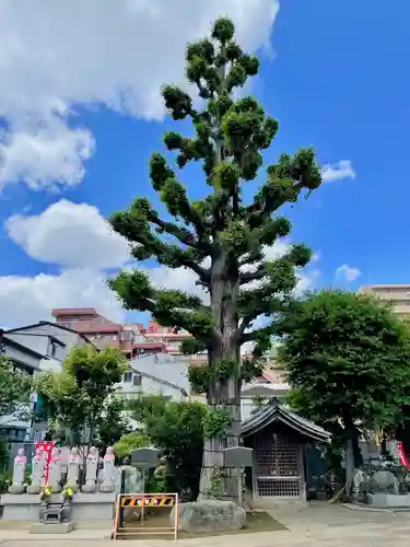 福王山  慈眼寺のその他建物