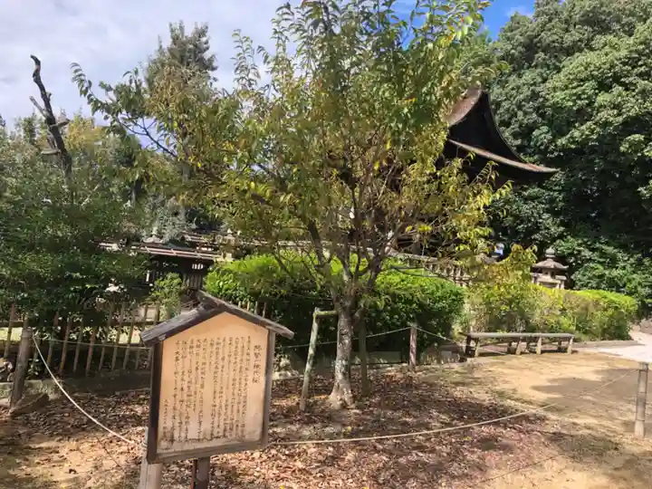阿智神社(岡山県)