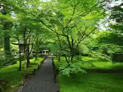 三千院門跡の庭園