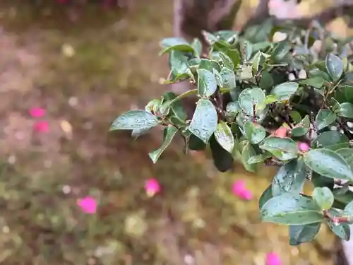 西方山極楽寺(岐阜県)