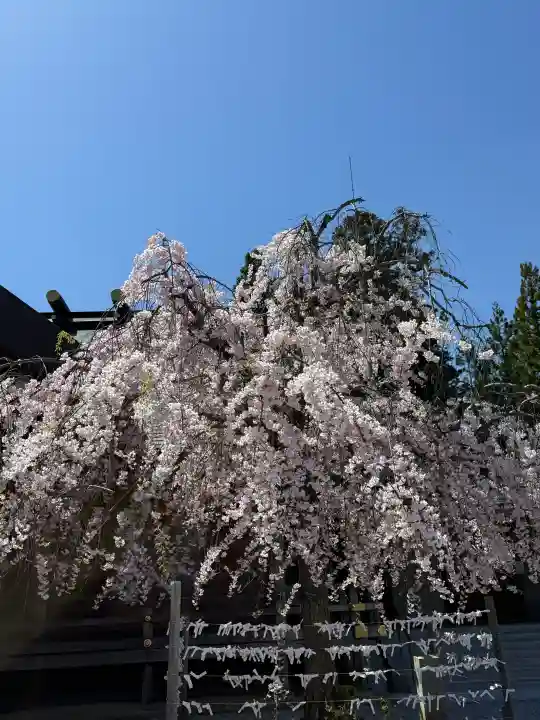 開成山大神宮の{uncategorized: "未分類", other: "その他", undefined: "問題あり", building: "その他建物", grave: "お墓", sacred_gate: "鳥居", guardian: "狛犬", statue: "像", buddha: "仏像", history: "歴史", nature: "自然", garden: "庭園", animal: "動物", pagoda: "塔", temizu: "手水舎", mountain_gate: "山門・神門", sanctuary: "本殿・本堂", subordinate: "末社・摂社", art: "芸術", scenery: "景色", jizo: "地蔵", ema: "絵馬", goshuin: "御朱印", omikuji: "おみくじ", items: "授与品その他", amulet: "お守り", goshuincho: "御朱印帳", eats: "食事", festival: "お祭り", votive_dance: "神楽", shichigosan: "七五三参", wedding: "結婚式", experience: "体験その他", initially: "初詣", around: "周辺", anti_infection: "感染症対策"}