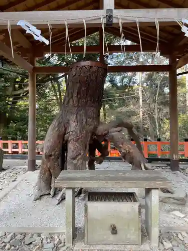 伏見稲荷大社の自然