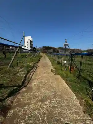 比々多神社の{uncategorized: "未分類", other: "その他", undefined: "問題あり", building: "その他建物", grave: "お墓", sacred_gate: "鳥居", guardian: "狛犬", statue: "像", buddha: "仏像", history: "歴史", nature: "自然", garden: "庭園", animal: "動物", pagoda: "塔", temizu: "手水舎", mountain_gate: "山門・神門", sanctuary: "本殿・本堂", subordinate: "末社・摂社", art: "芸術", scenery: "景色", jizo: "地蔵", ema: "絵馬", goshuin: "御朱印", omikuji: "おみくじ", items: "授与品その他", amulet: "お守り", goshuincho: "御朱印帳", eats: "食事", festival: "お祭り", votive_dance: "神楽", shichigosan: "七五三参", wedding: "結婚式", experience: "体験その他", initially: "初詣", around: "周辺", anti_infection: "感染症対策"}