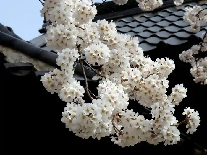 実相寺の山門