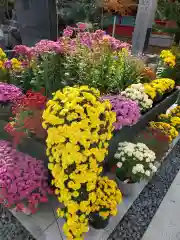 宮城縣護國神社の自然