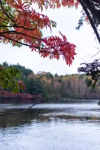 大瀧神社(長野県)