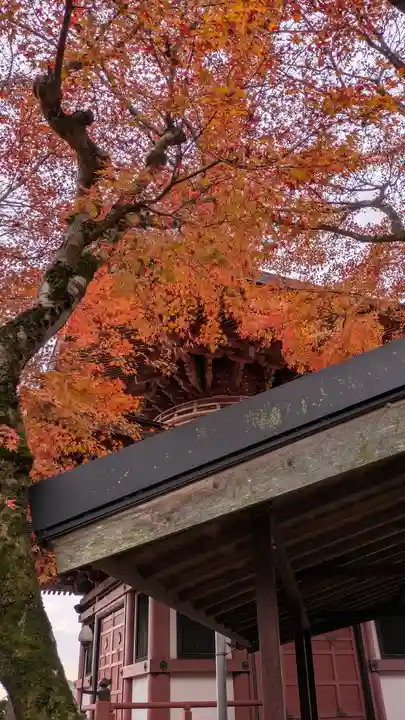 三明院(京都府)