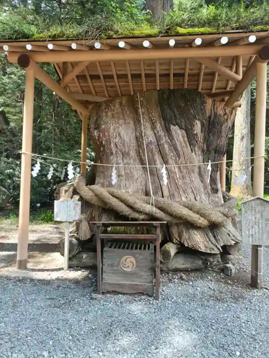 小國神社の{uncategorized: "未分類", other: "その他", undefined: "問題あり", building: "その他建物", grave: "お墓", sacred_gate: "鳥居", guardian: "狛犬", statue: "像", buddha: "仏像", history: "歴史", nature: "自然", garden: "庭園", animal: "動物", pagoda: "塔", temizu: "手水舎", mountain_gate: "山門・神門", sanctuary: "本殿・本堂", subordinate: "末社・摂社", art: "芸術", scenery: "景色", jizo: "地蔵", ema: "絵馬", goshuin: "御朱印", omikuji: "おみくじ", items: "授与品その他", amulet: "お守り", goshuincho: "御朱印帳", eats: "食事", festival: "お祭り", votive_dance: "神楽", shichigosan: "七五三参", wedding: "結婚式", experience: "体験その他", initially: "初詣", around: "周辺", anti_infection: "感染症対策"}
