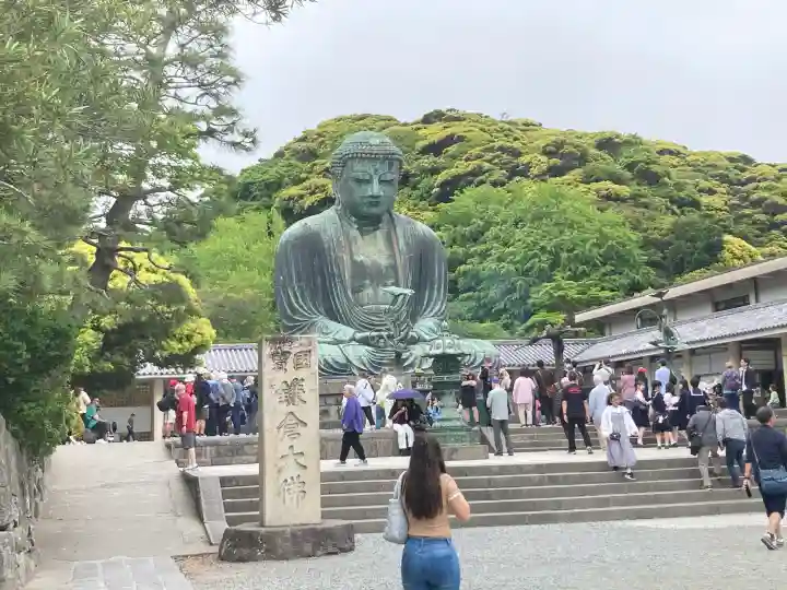 高徳院の{uncategorized: "未分類", other: "その他", undefined: "問題あり", building: "その他建物", grave: "お墓", sacred_gate: "鳥居", guardian: "狛犬", statue: "像", buddha: "仏像", history: "歴史", nature: "自然", garden: "庭園", animal: "動物", pagoda: "塔", temizu: "手水舎", mountain_gate: "山門・神門", sanctuary: "本殿・本堂", subordinate: "末社・摂社", art: "芸術", scenery: "景色", jizo: "地蔵", ema: "絵馬", goshuin: "御朱印", omikuji: "おみくじ", items: "授与品その他", amulet: "お守り", goshuincho: "御朱印帳", eats: "食事", festival: "お祭り", votive_dance: "神楽", shichigosan: "七五三参", wedding: "結婚式", experience: "体験その他", initially: "初詣", around: "周辺", anti_infection: "感染症対策"}