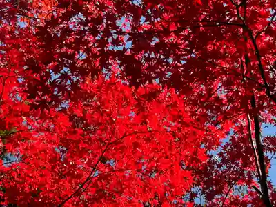 蠶養國神社(福島県)