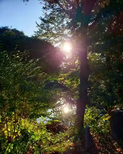 明治神宮の自然